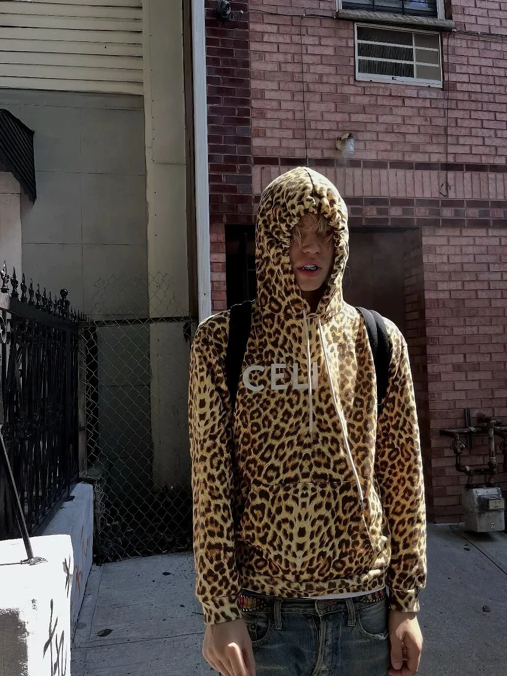 Celine Leopard Hoodie