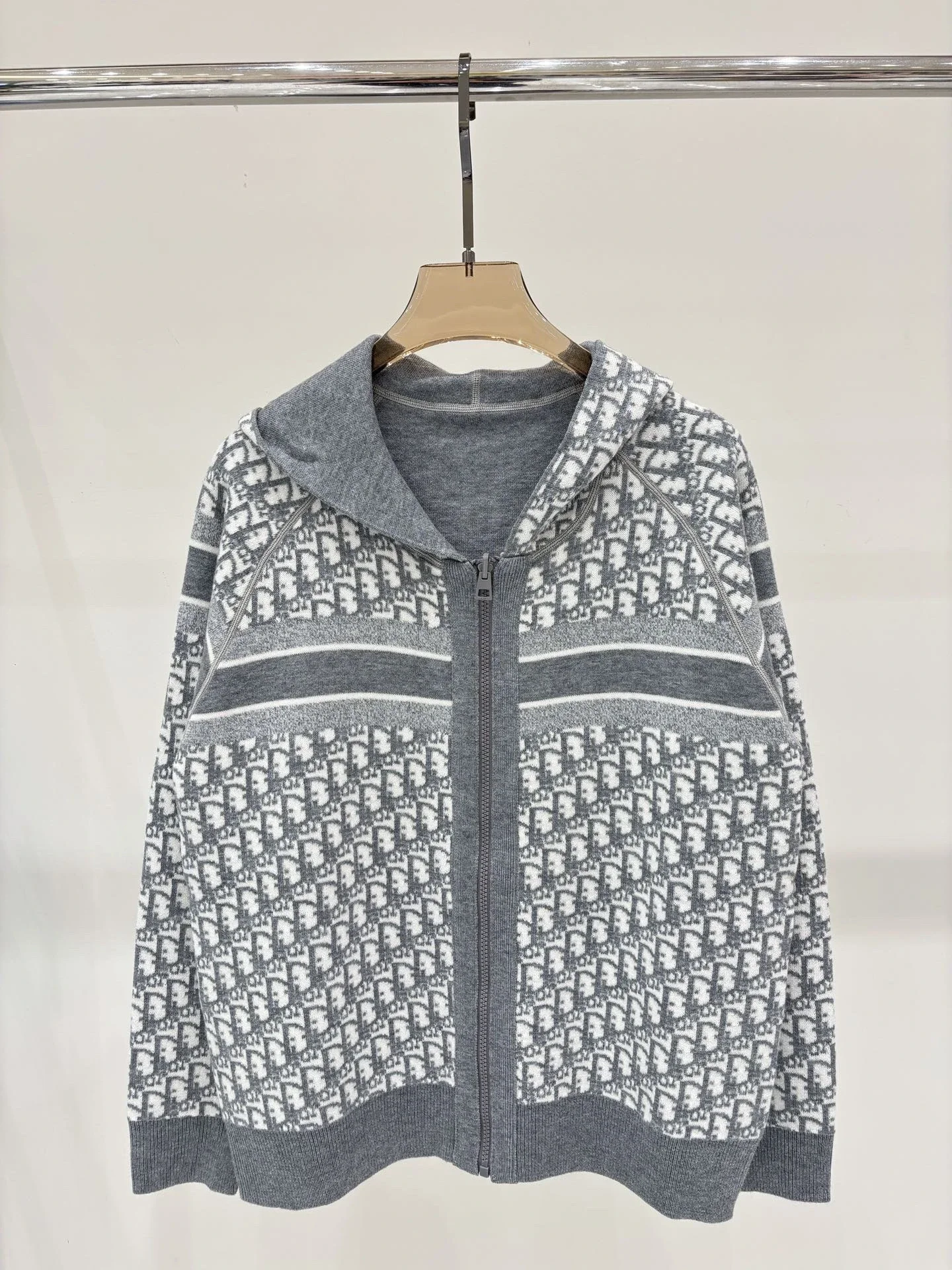 Dior Hoodie